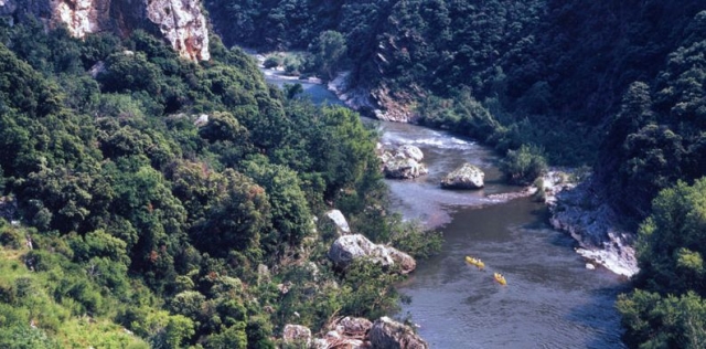 Les falaises des Gorges